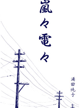 嵐嵐電電