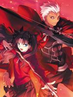 FATE Unlimited Embrace Works 無限擁抱